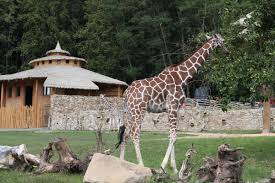 zoo-jihlava-zirava